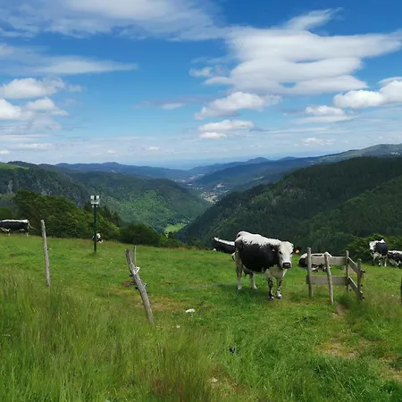 Ferme Evasion Vosges 1783 Apartamento Saulxures-sur-Moselotte Exterior foto