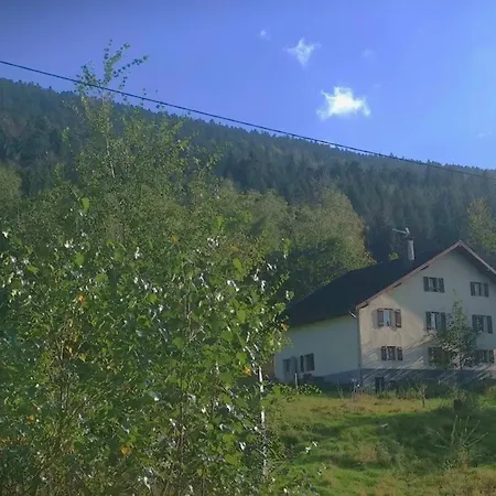 Ferme Evasion Vosges 1783 Apartamento Saulxures-sur-Moselotte Exterior foto